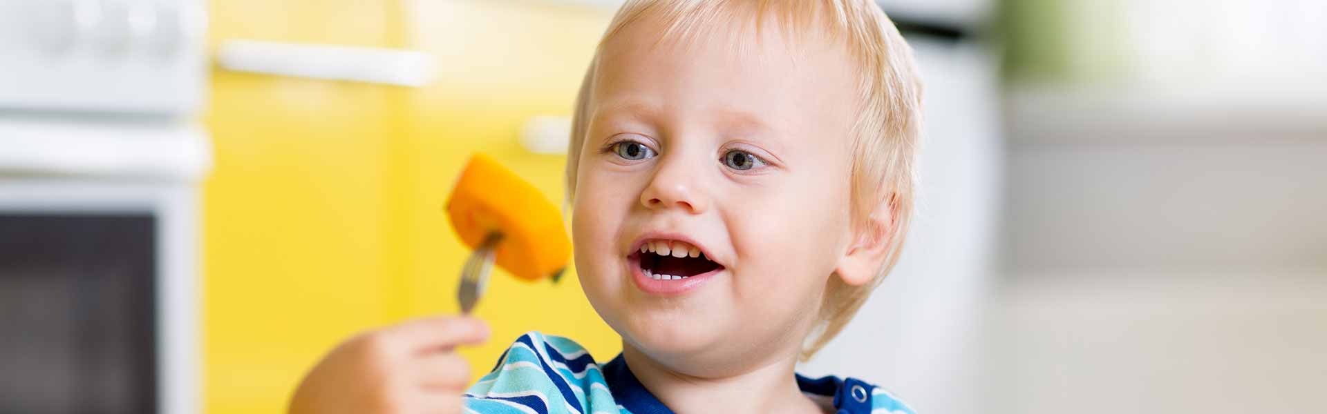 Catering für Schule, Kindergarten, Hort und Krippe